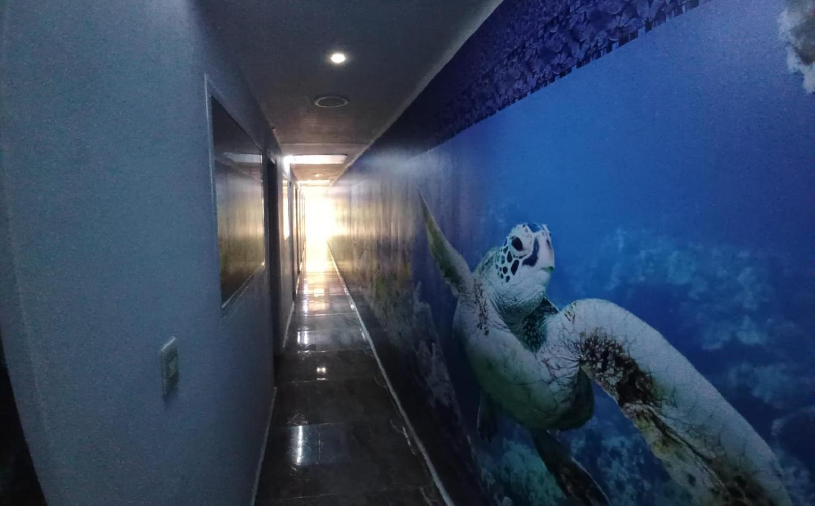 Hotel Dmauro Картахена Экстерьер фото